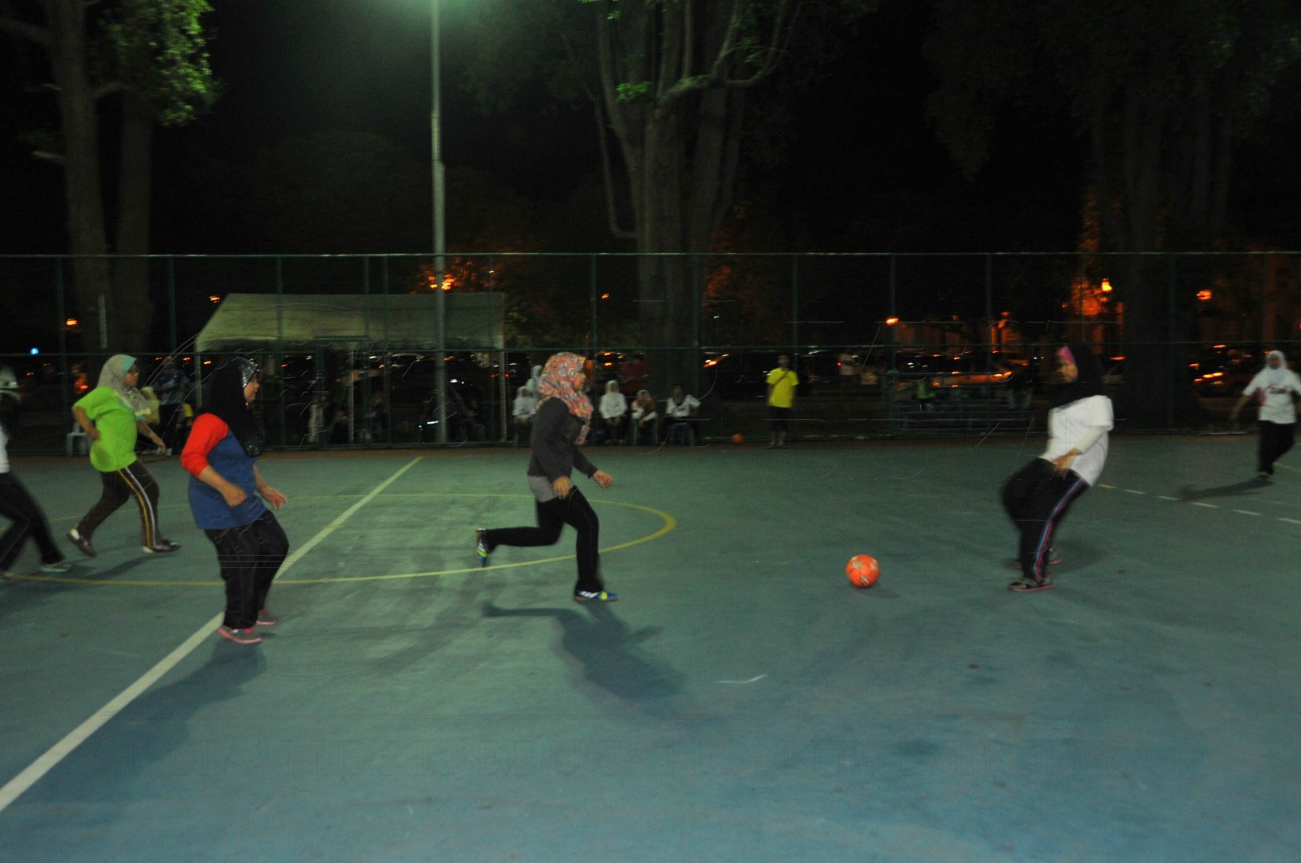 PRO 15 53 KIESTA HAS 4511